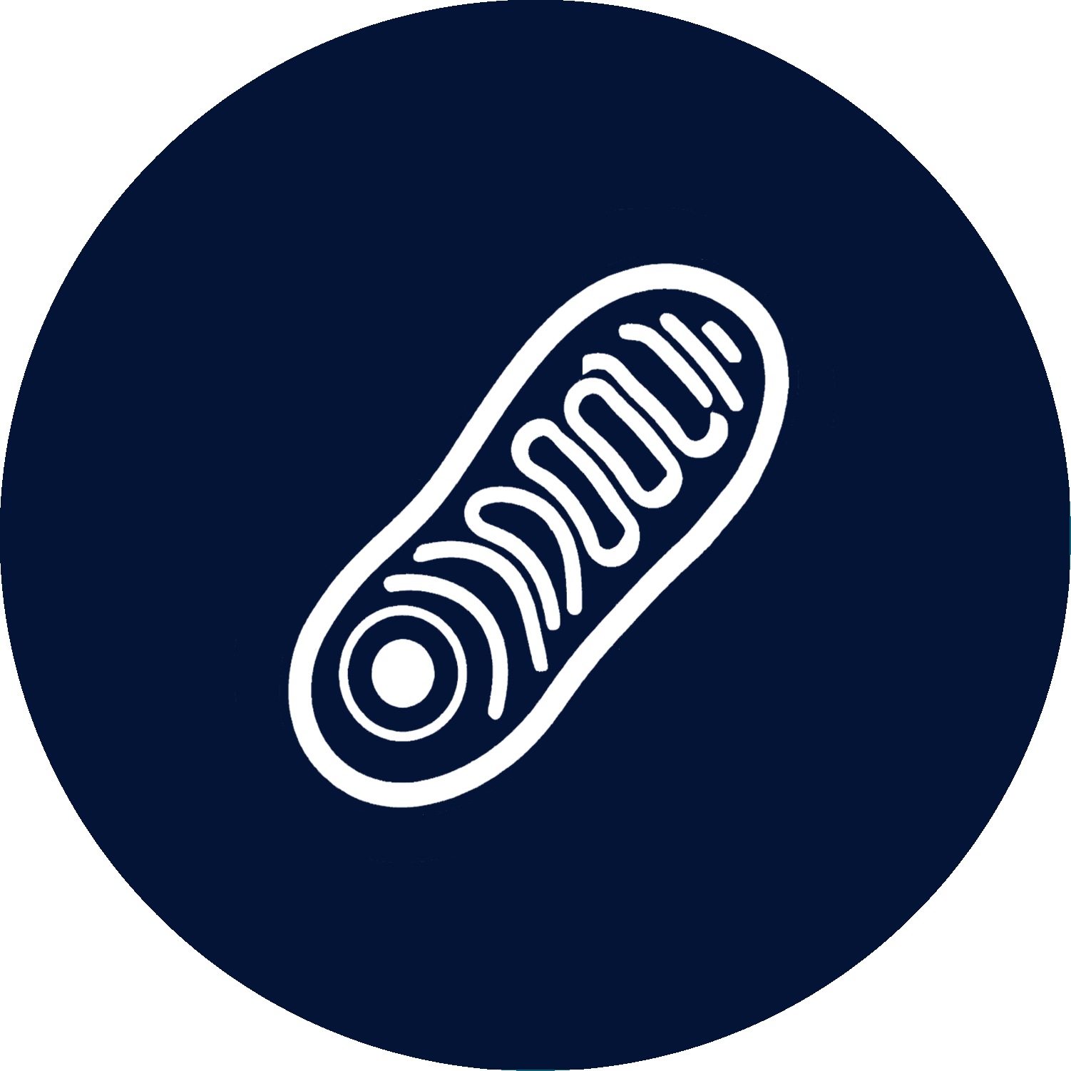Mitochondrial Dysfunction